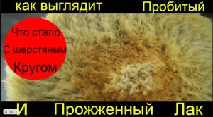 Как выглядит пробитый и прожженный, перегретый лак на машине