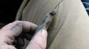 Коп на покосе, удачный!