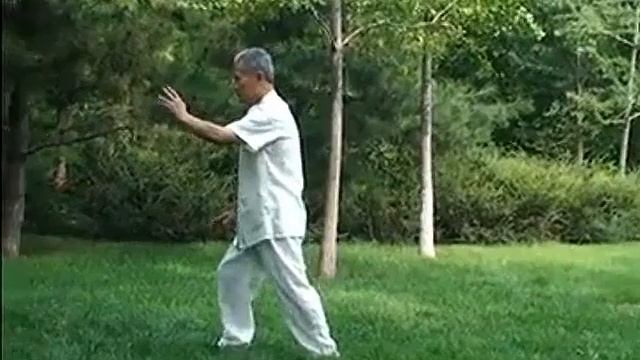 108 форм Ян ши тайцзи (учитель Лю)