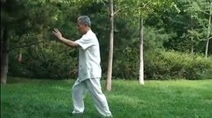 108 форм Ян ши тайцзи (учитель Лю)
