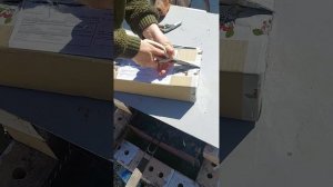 отзыв о питомнике "МОЙ САДОВОД"