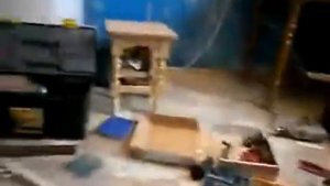 Изготовление скрипки