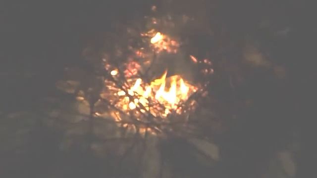 Копчение рыбы. Обрезка яблони. смотреть онлайн