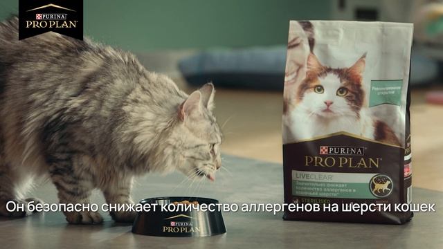 Еще больше кошек смогут найти свой дом благодаря корму PRO PLAN® LiveClear®! смотреть онлайн