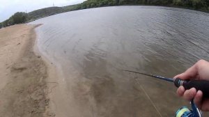 Вторая часть ловли окуня на городском пляже)🦈🦈