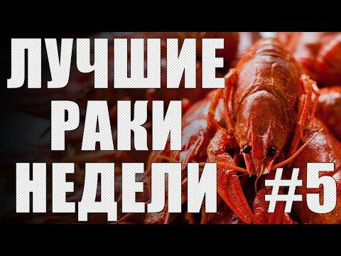 ЛРН выпуск №5 [Лучшие Раки Недели] + В боль!