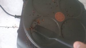 Как отмыть блинницу tefal