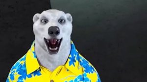 ❗️Белый медведь отменил новый год! Официальное обращение..(мем)