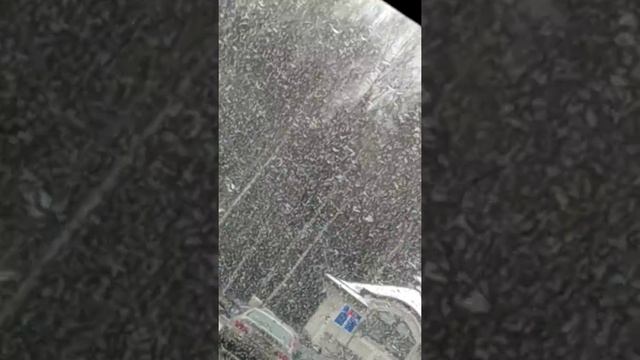 Мэдисон парк