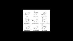 Как понять кошку, или кошачий язык