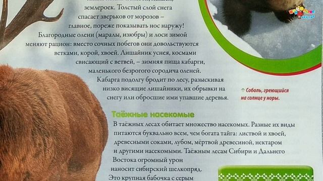 Моя страна Собери карту России от Hachette, выпуски 34, 35 и 36 + обзор страниц журналов