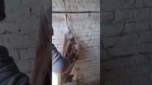 Как правильно резат барана