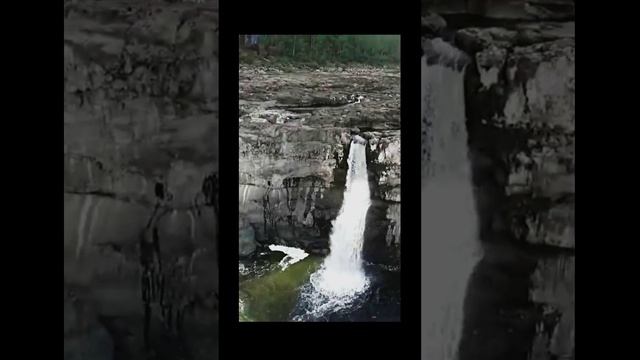 Лесной водопад. Пение Птиц. Звуки природы