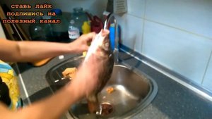 ★Как правильно чистить и потрошить рыбу