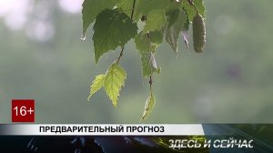 ПРЕДВАРИТЕЛЬНЫЙ ПРОГНОЗ