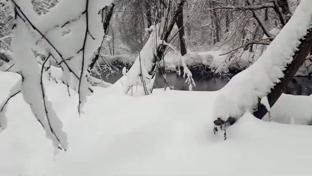 Снег кружится.... смотреть онлайн