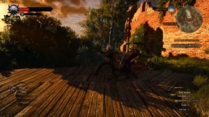 Witcher 3 AMD R7 370 Gameplay FPS Test