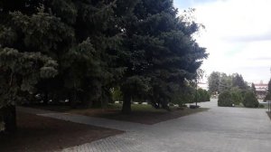 село Куйбышево Ростовской области