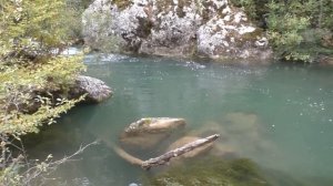 ☘ Chernaya River in Chernorechensky Canyon | Beautiful Rivers of Crimea