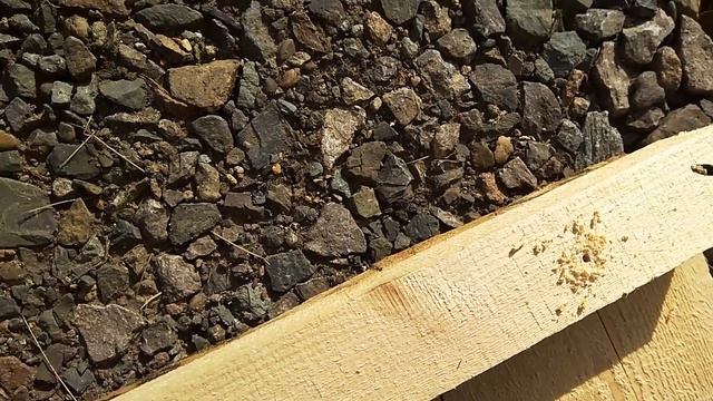 Как собрать ЩИТ ОПАЛУБКИ для фундамента своими руками смотреть онлайн