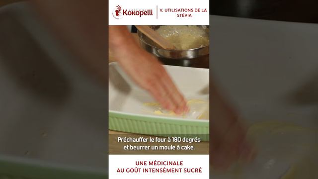 V. Stévia, les recettes pour découvrir toutes ses saveurs ! [Cultivons-Nous ! #4] смотреть онлайн