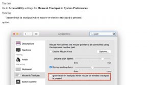 Apple: Natural Scroll Direction: On with trackpad, Off with mouse (3 Solutions!!)