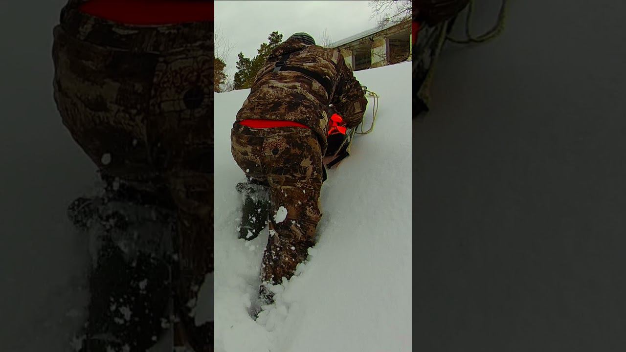 КТО СКАЗАЛ ЧТО РЫБАЛКА ЭТО ОТДЫХ? #shorts смотреть онлайн