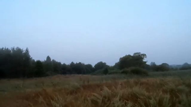 Тест Косюма Горка. Звери. История о Воздушном шарике. смотреть онлайн