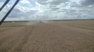 Очередной день уборки урожая 2023.Комбайны Ростсельмаш и Класс на уборке озимой пшеницы.