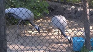 МАМА, ПАПА, Я! Вместе - дружная семья!