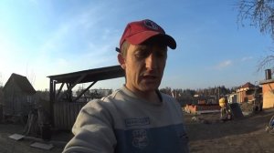 коровa не жует жвачку