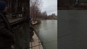 Еганово рыбалка ,лагуна
