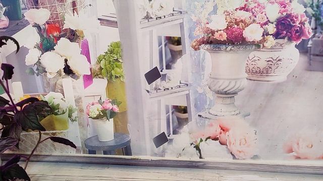 Дополнительный список бегоний и комнатных растений. смотреть онлайн