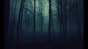 Наутилус Помпилиус " Чёрные птицы "