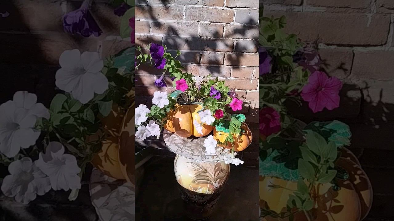 Воскресенье это выходной или рабочий день? смотреть онлайн