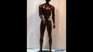 Движущиеся манекены WellBot