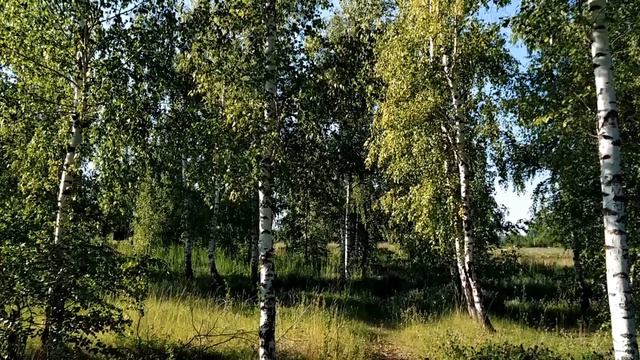 ЛЕТНЕЕ СОЛНЦЕСТОЯНИЕ: что нужно сделать 21 июня