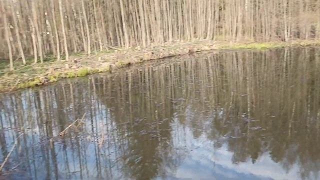 Магнитная рыбалка на древних озёрах #рыбалка #магнитнаярыбалка #магнит