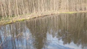 Магнитная рыбалка на древних озёрах #рыбалка #магнитнаярыбалка #магнит