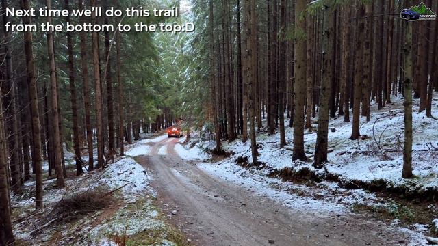 Dacia Sandero Stepway 2023 Forest Offroad Drive смотреть онлайн