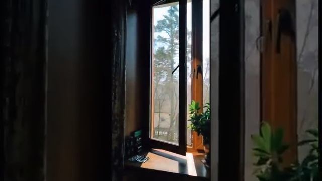 Я смогла помыть окно!!!!!!!! смотреть онлайн