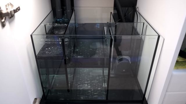 Waterbox Aquariums User's Review смотреть онлайн