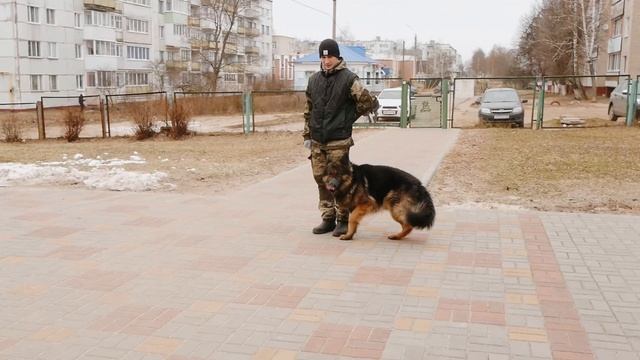 профессия1