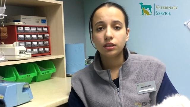 О подготовке к вязке