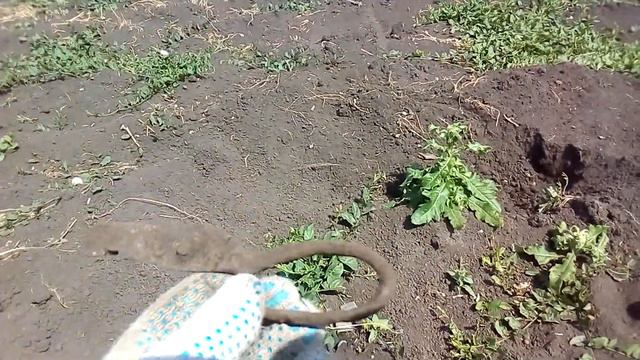 Поиск на распаханной деревне 1 часть. Выпуск N 5 смотреть онлайн