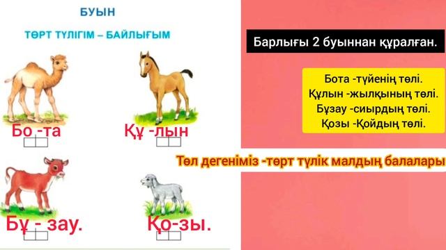 Әліппе 1 сынып ✓7 сабақ Буын Төрт түлігім-байлығым#сабақ #әліппе #1сынып #анатілі смотреть онлайн