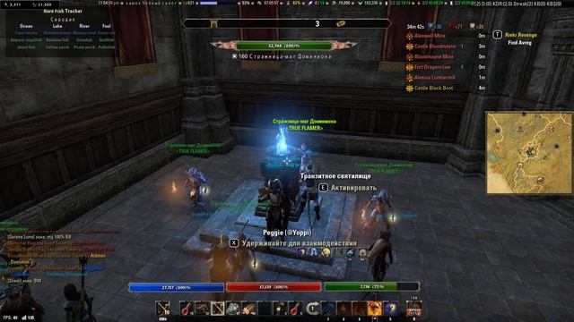 Сиродил, гайд по PVP зоне Сиродил - Elder Scrolls Online (TES, ESO)
