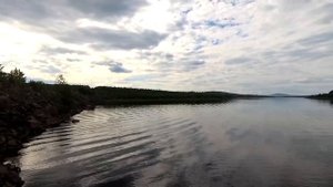 Начало июля. Андрюшинское водохранилище и клев мегаокуня