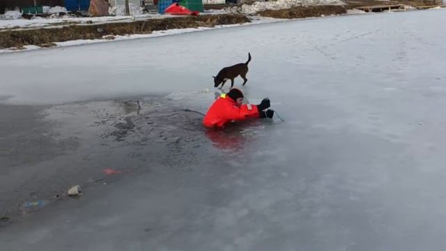 Самоспасение из полыньи с помощью пары отверток