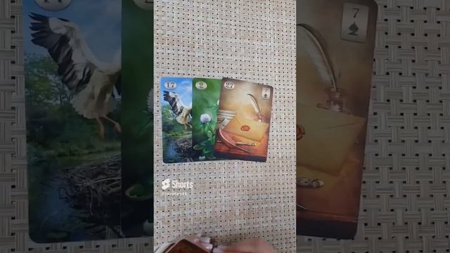 🔥СРОЧНОЕ ПОСЛАНИЕ ОТ ВЫСШИХ СИЛ ДЛЯ ВАС🙏❗#гадание #тароонлайн #tarot #short #будущее.mp4